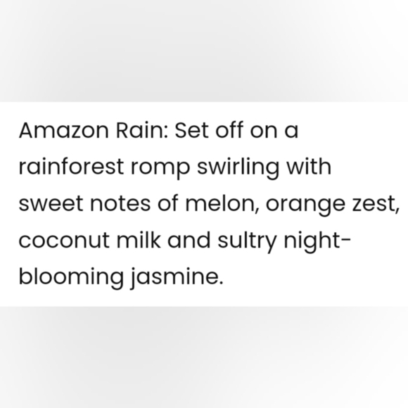 Scentsy Leoni The Leopard Amazon Rain Buddy Clip Melon Orange Coconut Jasmine - Picture 4 of 4